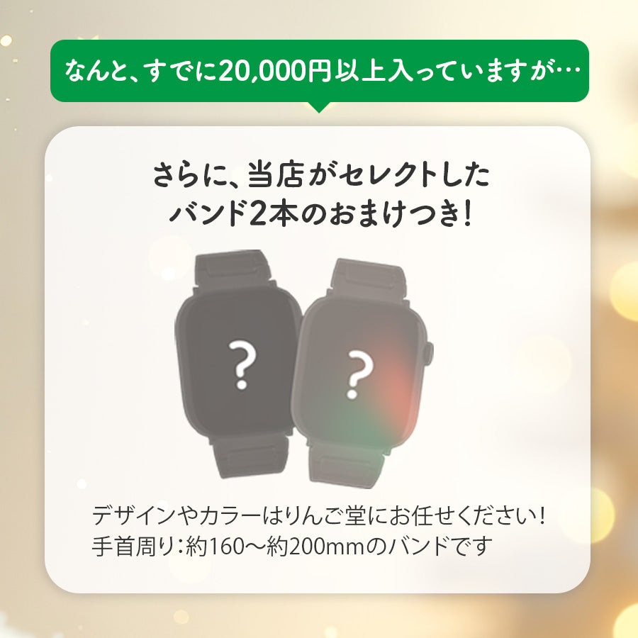 【期間限定★りんご堂福BOX】福袋 BOX アップルウォッチバンド AppleWatch バンド ステンレス チタン 本革 シリコン ナイロン  @イベント