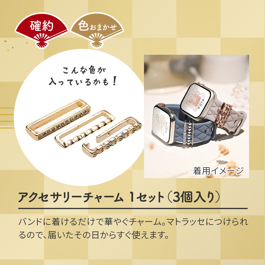 【お年玉福BOX】アップルウォッチ バンド 収納 applewatch 収納  レディース ｜イベント