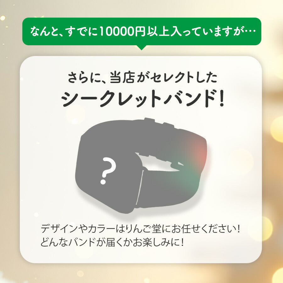 【売り切れ次第終了★福袋】アップルウォッチ バンド シリコン メンズ レザー 本革 ベルト apple watch series 11 10 SE3 SE2 7 SE 6 5 4 3 ULTRA 対応 おしゃれ スポーツ アクセサリー  38mm 40mm 41mm 42mm 44mm 45mm 46mm 福袋 @イベント